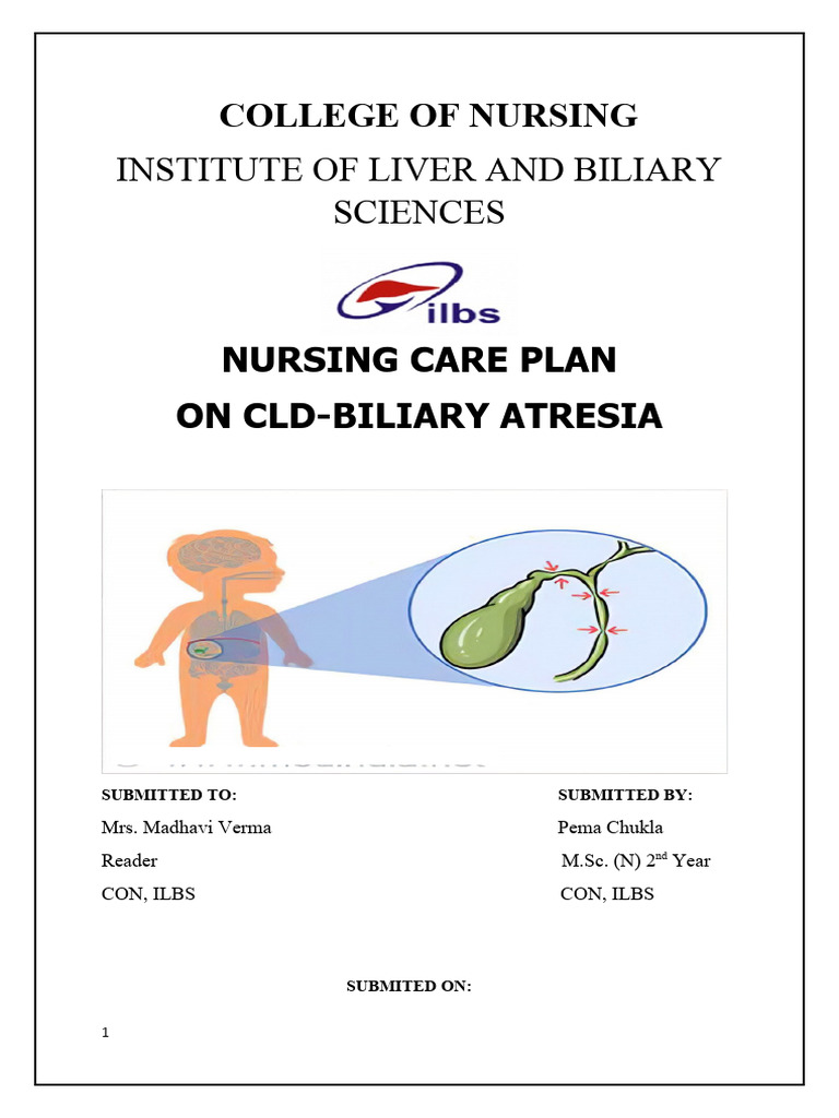 CLD Nursing Care Plan for Biliary Atresia | PDF | Clinical Medicine ...