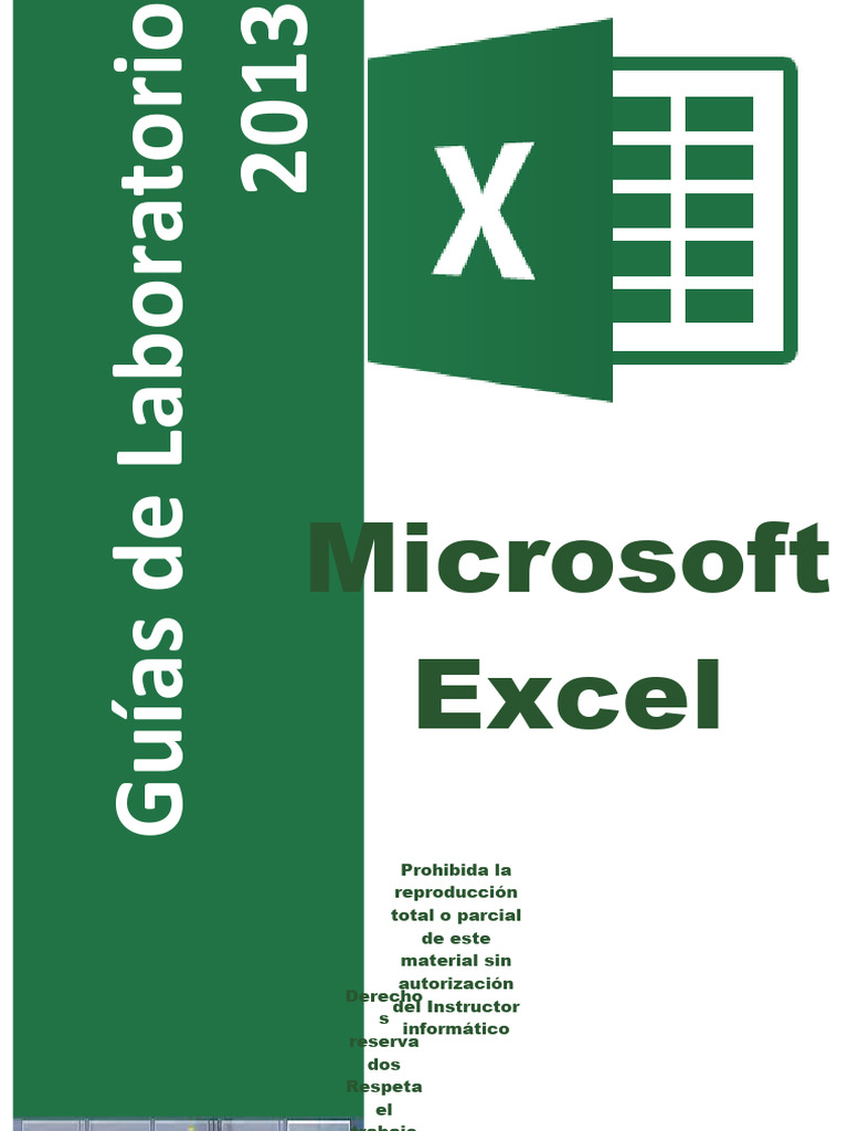 Guía Básica de Microsoft Excel 2010 | PDF | Archivo de computadora ...