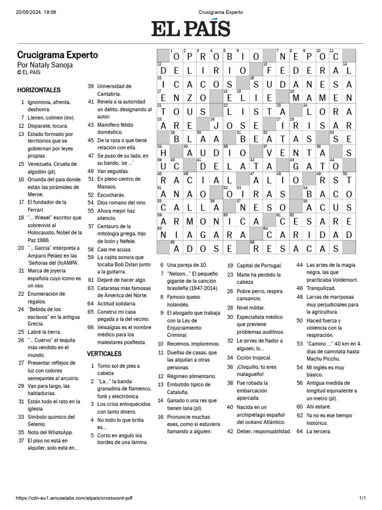 crucigrama-experto114-pdf