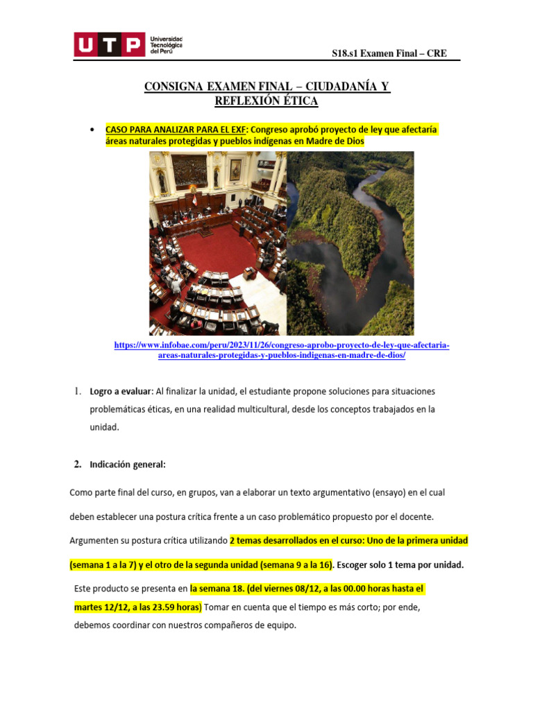 S18 s1+Consigna+EXAMEN+FINAL+CYRE | PDF | Ensayos