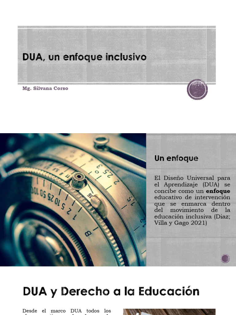 DUA: Educación Inclusiva y Diversidad | PDF | Plan de estudios ...