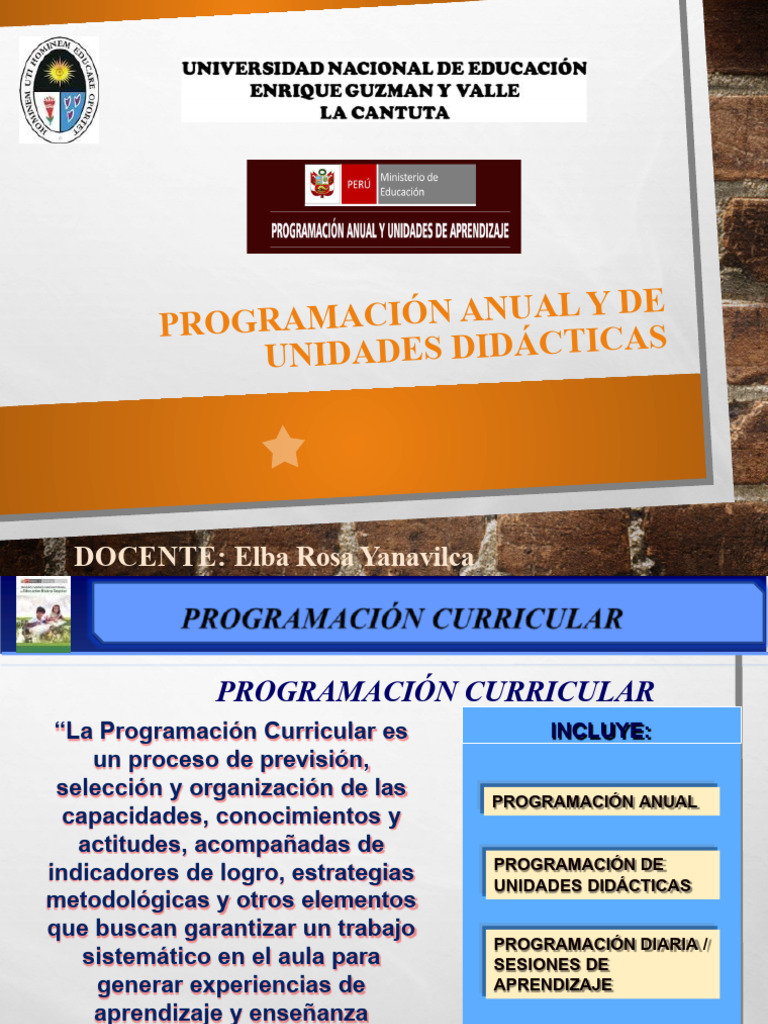 Programación Curricular Escolar | PDF | Evaluación | Salón de clases