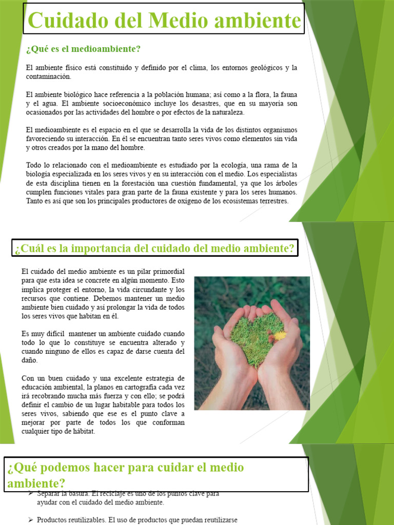 Cuidado del Medio Ambiente: Claves y Problemas | PDF | Entorno natural ...