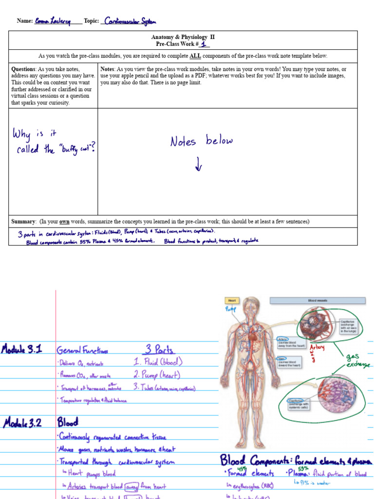 ap-2-pcw-1-cardiovascular-module-3-1-3-2-pdf-blood-red