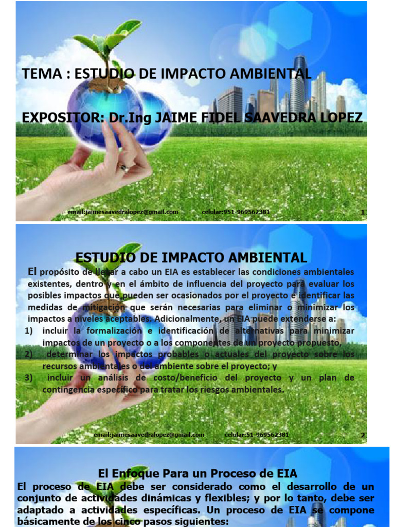 Estudio de Impacto Ambiental EIA | PDF | Evaluación de impacto ...