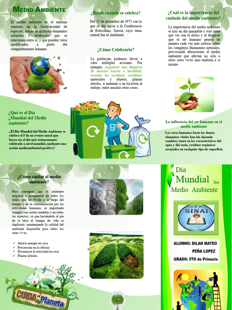 Triptico Del Medio Ambiente 3 | PDF | Entorno natural | Residuos