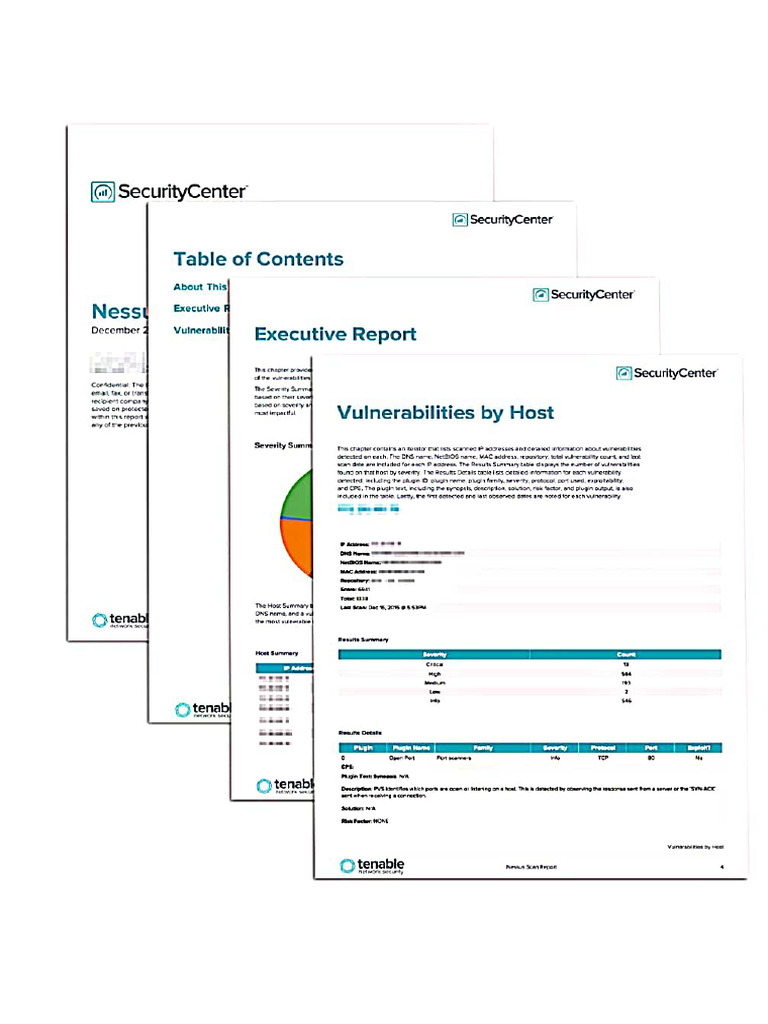 Vulnerability | PDF