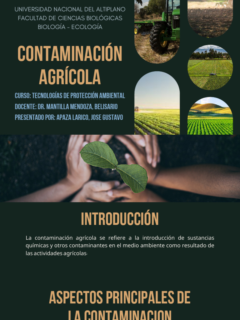 Contaminación Agrícola | PDF | Agricultura | Contaminación