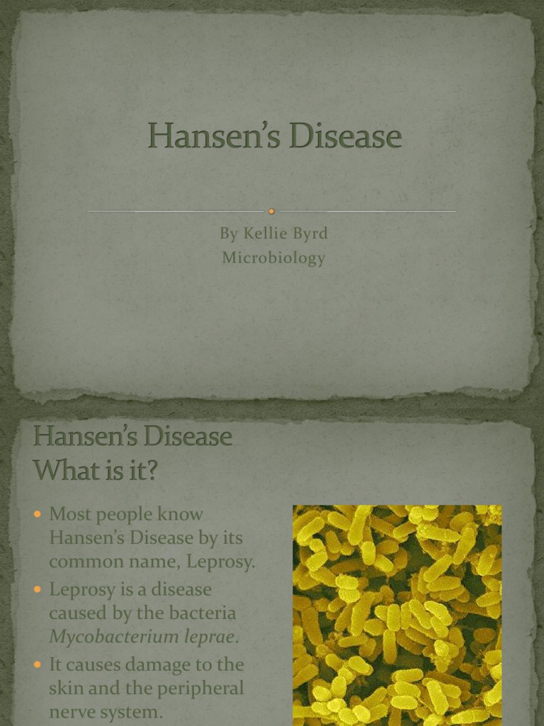Hansen's Disease | PDF | Leprosy | Health Sciences
