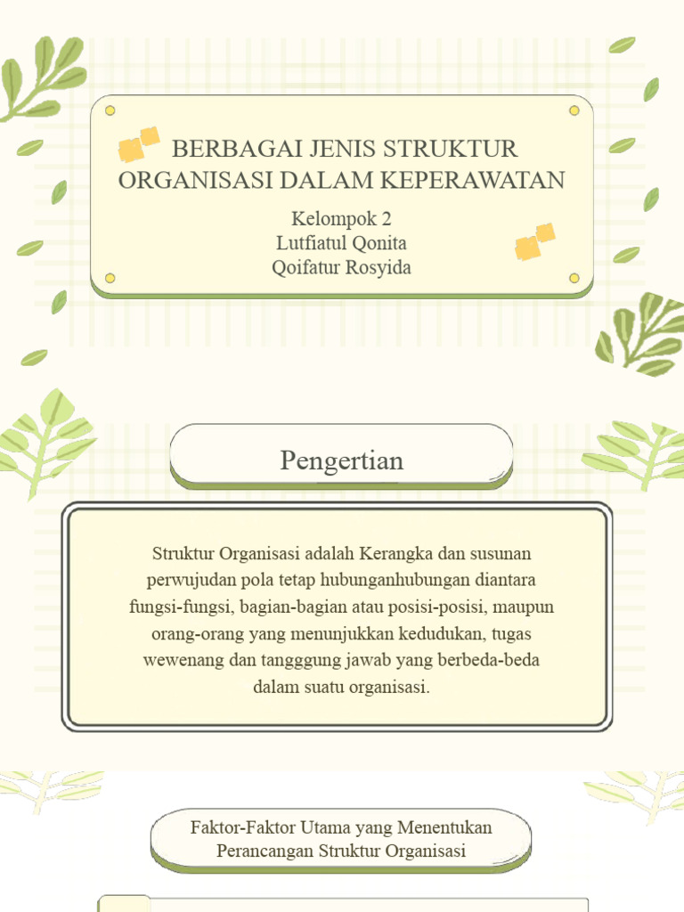 Struktur Organisasi LUTFI&IFA | PDF