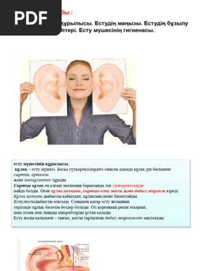 Бөтелкені есекке тығып қойған кім?