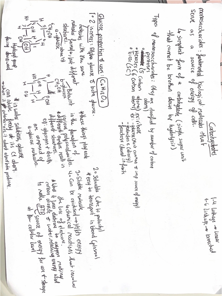 Carbohydrates | PDF
