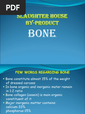 Bone