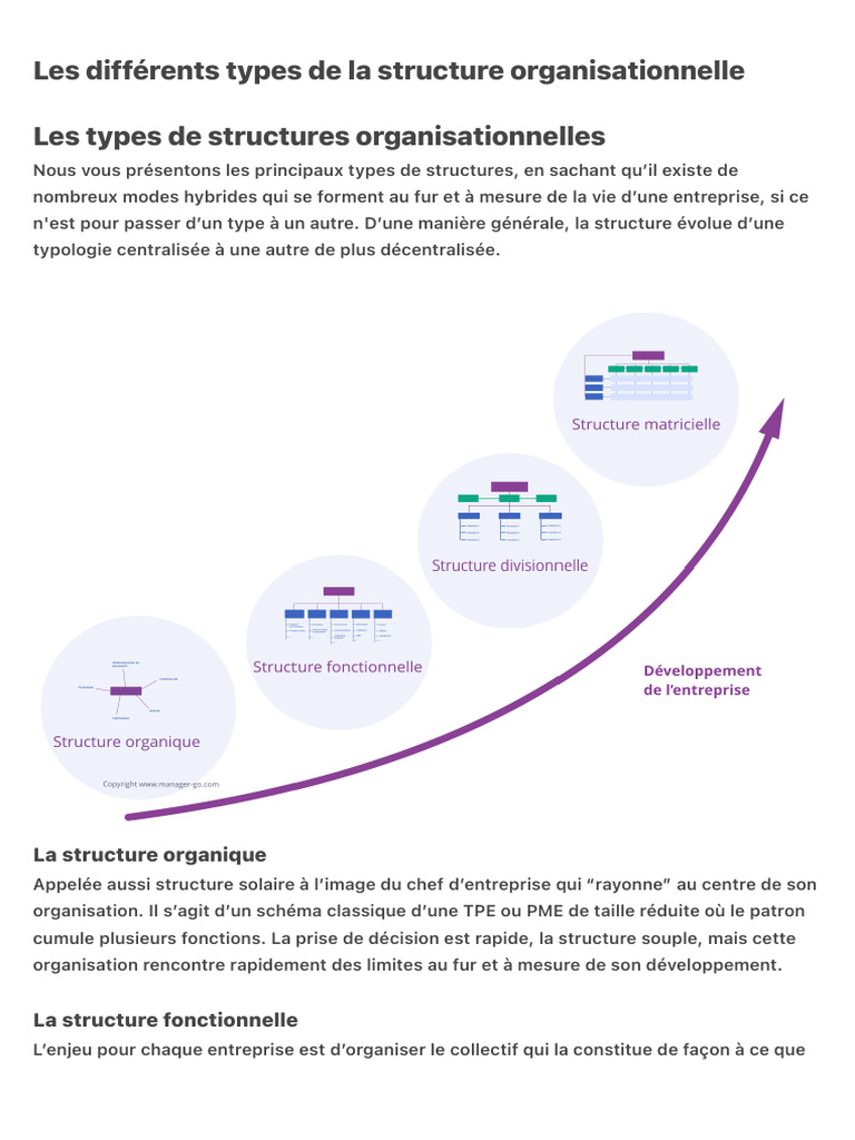 Types de structures organisationnelles | PDF | Business | Économie d ...