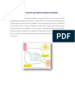 Prinicipales Clases de c Que Permitian Trabajar Con Archivos