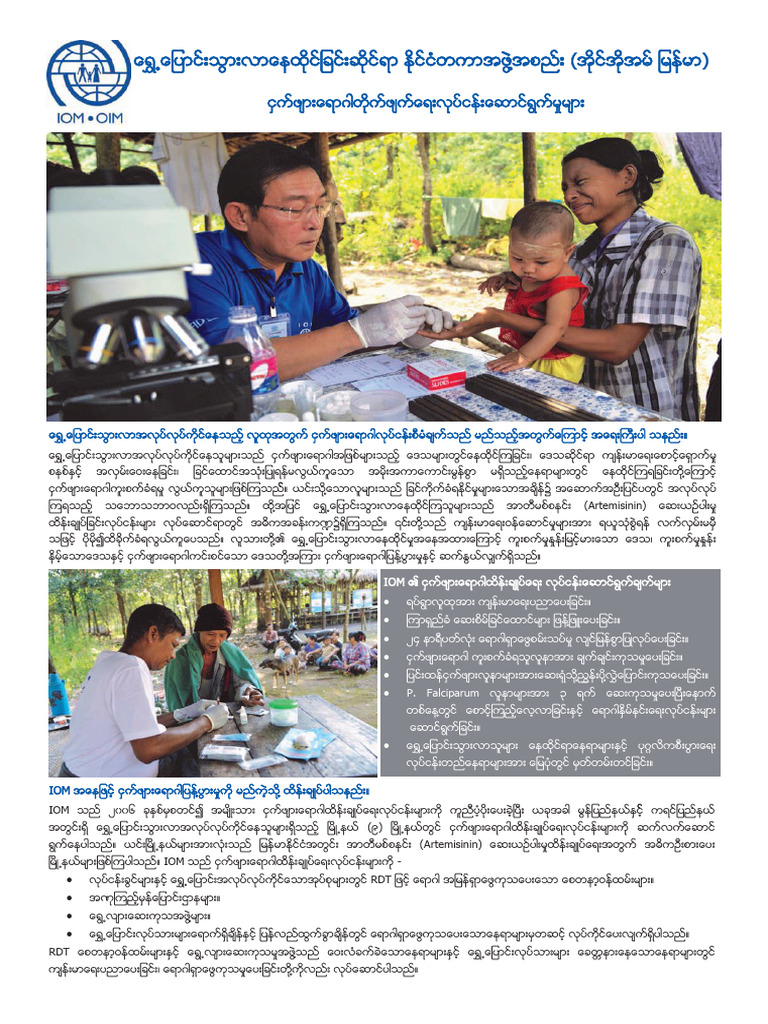 Myanmar visual data 2
