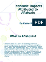 Economic Impacts Attributed To Aflatoxin