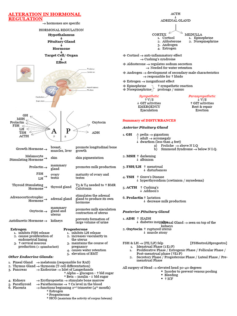 Endocrine System Disorders Pdf Adrenal Gland Hyperthyroidism