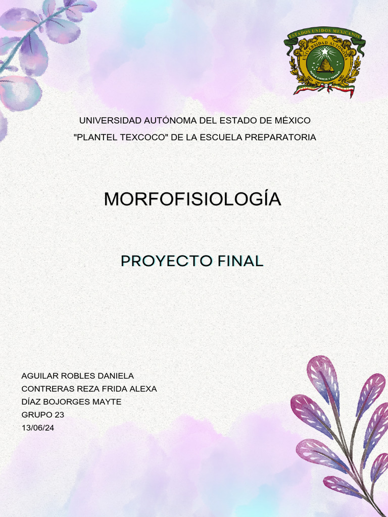Proyecto Final Proyecto Final | PDF