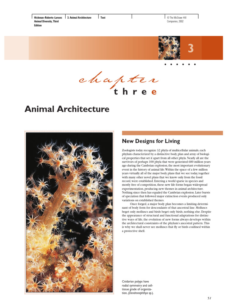 Animal Architecture Pdf Epithelium Muscle
