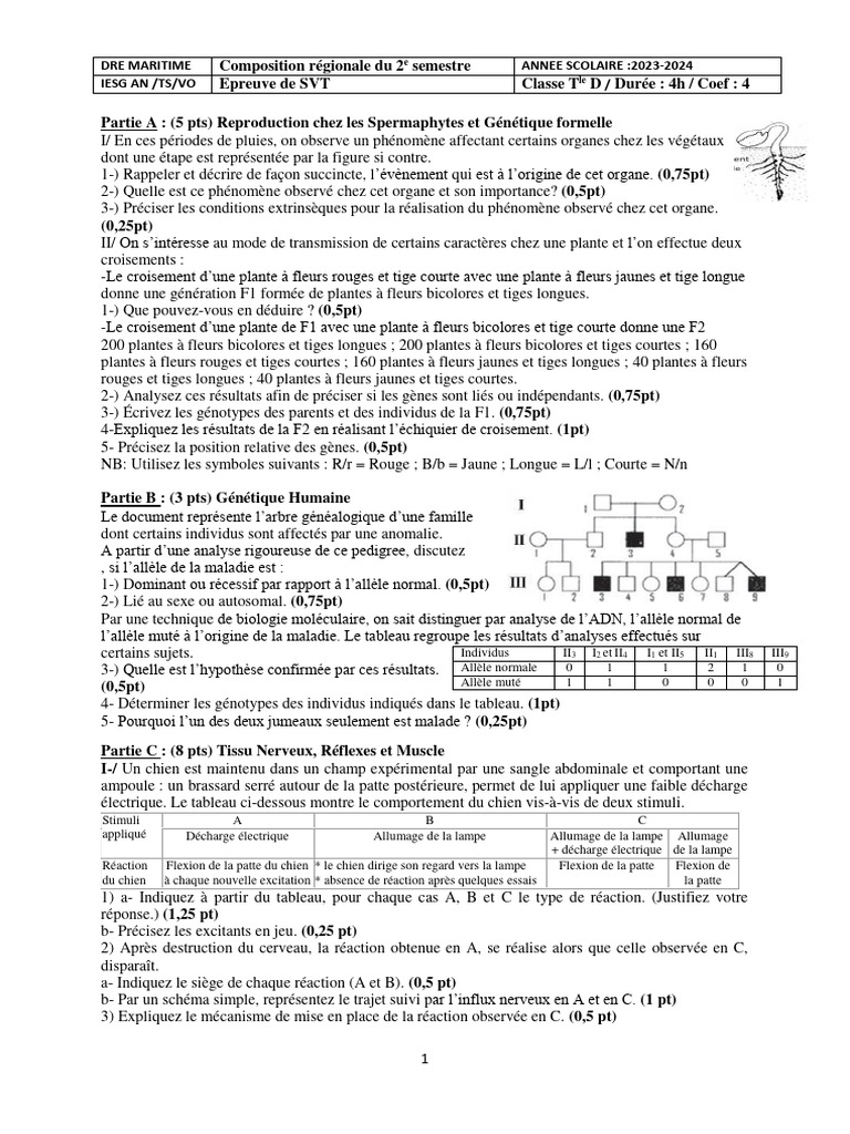 Hybride et Génétique des Plantes | PDF | Dominance (Génétique ...