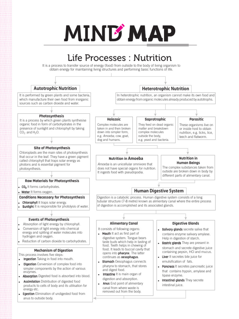 All in One SCIENCE - 10 - Mid Map - CH 5a | Download Free PDF ...