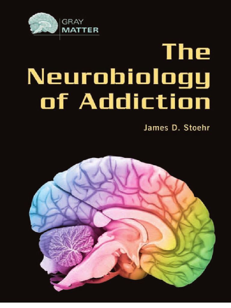 Nuerob of Add | PDF | Neurotransmitter | Dopamine