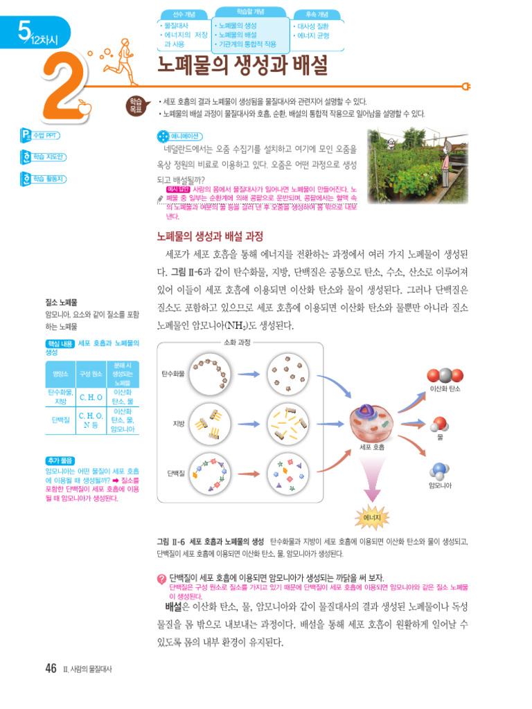 생명과학1 교사용교과서PDF | PDF