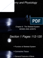 Anatomy and Physiology: Chapter 6: The Skeletal System Bones and Joints