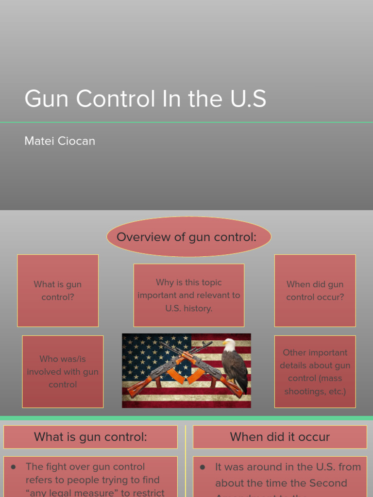 Matei Ciocan - Final Project | PDF | Gun Politics In The United States ...