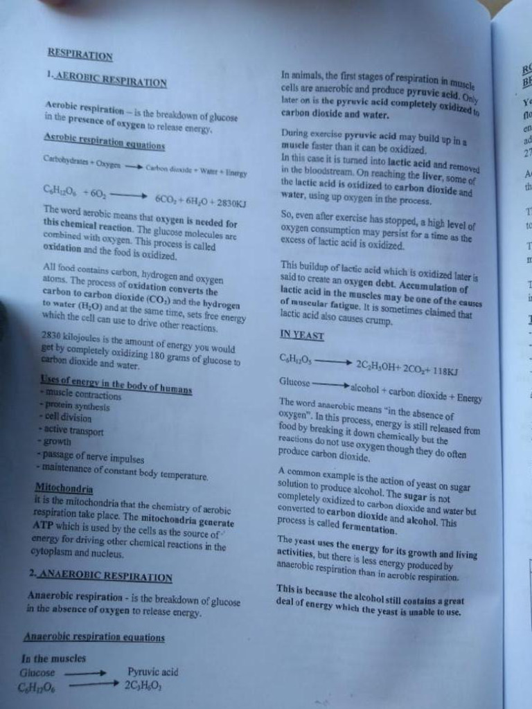 Respiration And Excretion Pdf