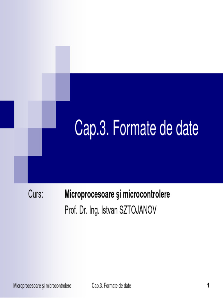 Cap.03. Formate de Date | PDF