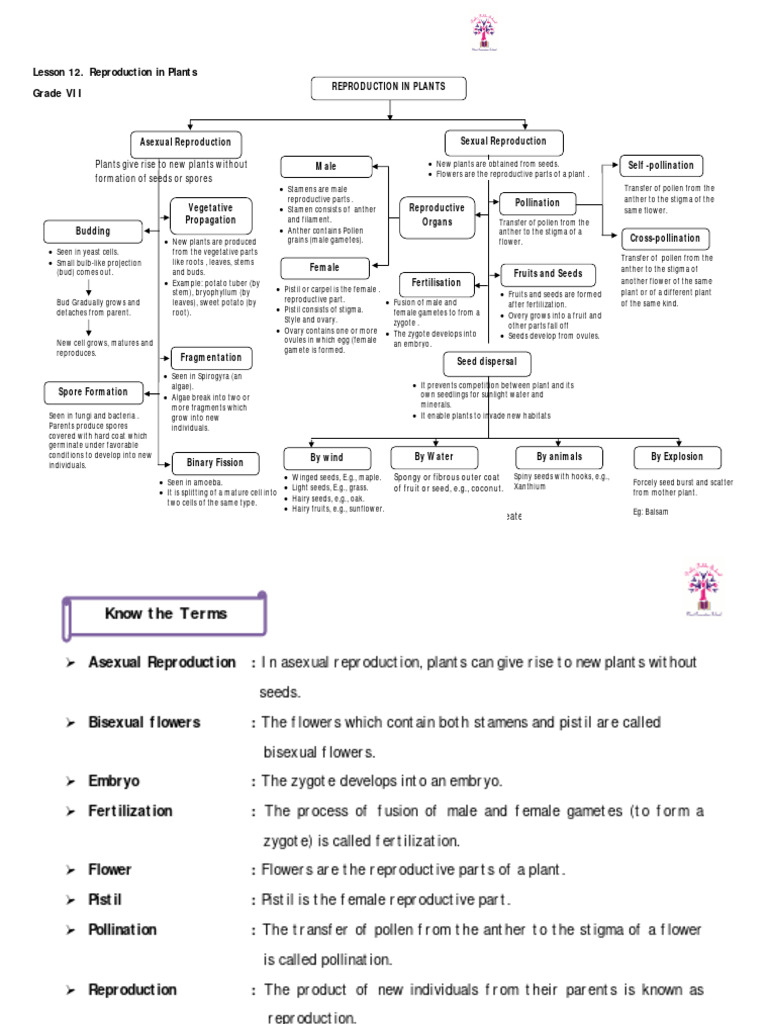 DEFINE FERTILISATION CLASS 7 visual data 2