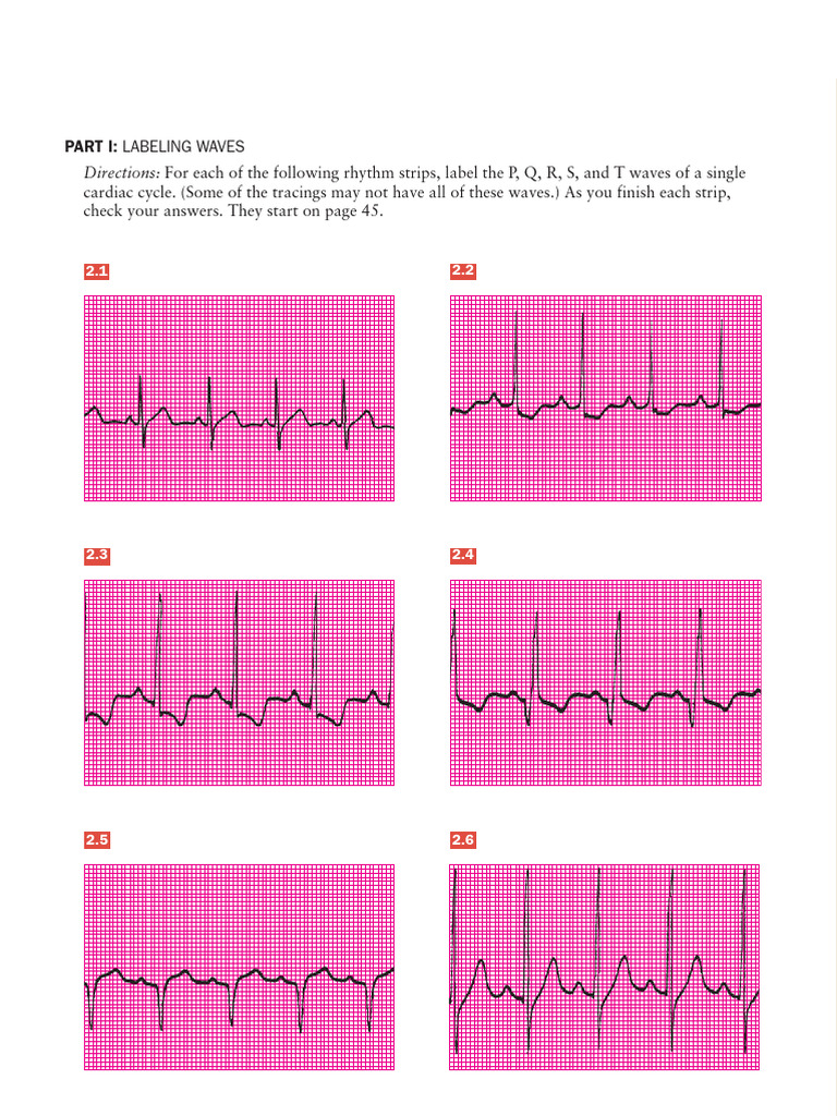 EKG Labeling Measuring | PDF | Electrocardiography | Cardiac ...