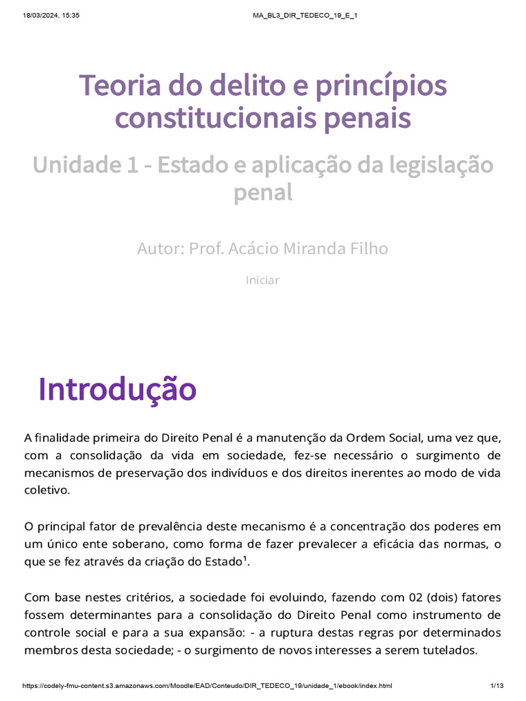 Teoria Do Delito E Princípios Constitucionais Penais 1 Pdf Direito