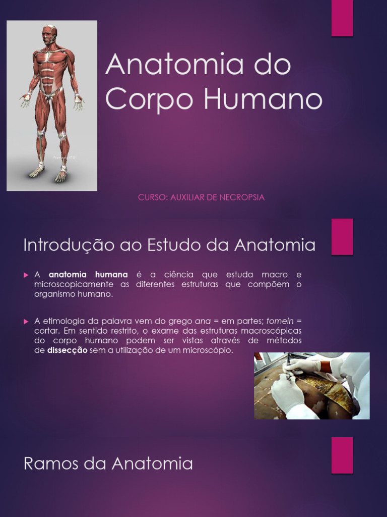 Anatomia Do Corpo Humano | PDF