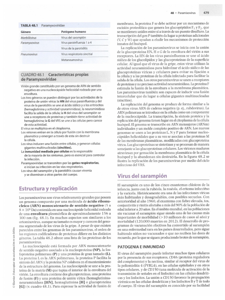 Piel Y Enfermedades Exantemáticas Pdf