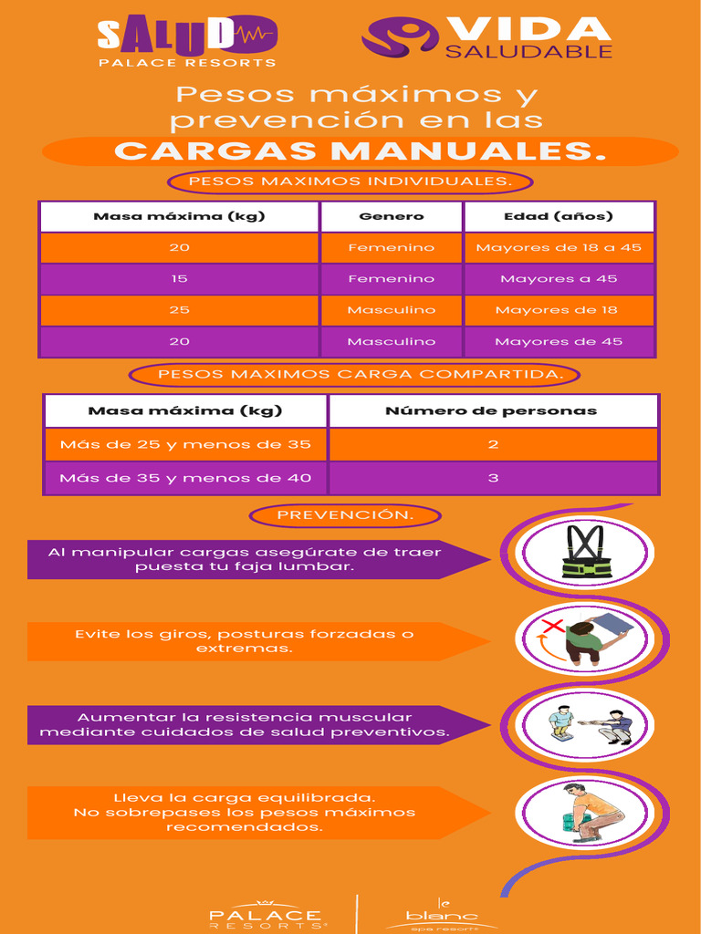 Tema 2 Pesos Máximos. | PDF