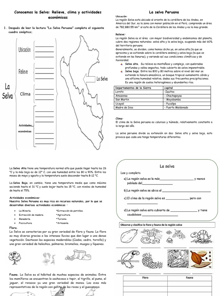 Ficha Selva | Descargar gratis PDF | Ciencias de la Tierra | Geografía ...