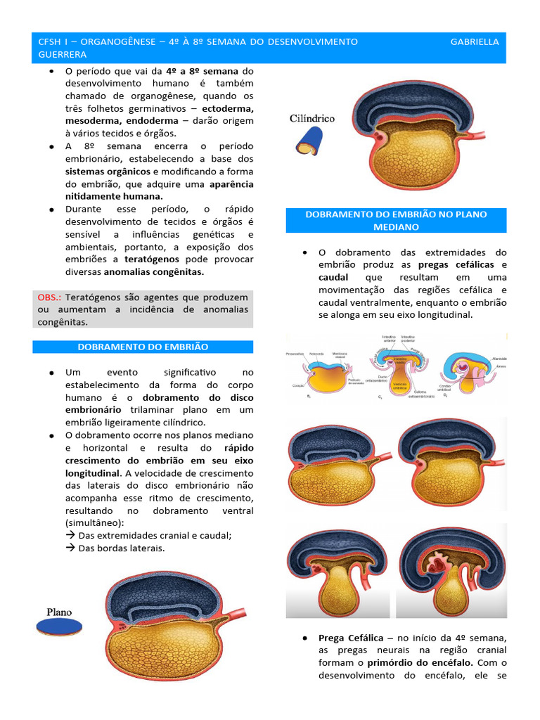 CFSH I - ORGANOGÊNESE - 4º A 8º SEMANA DO DESENVOLVIMENTO - BIBI 24 ...