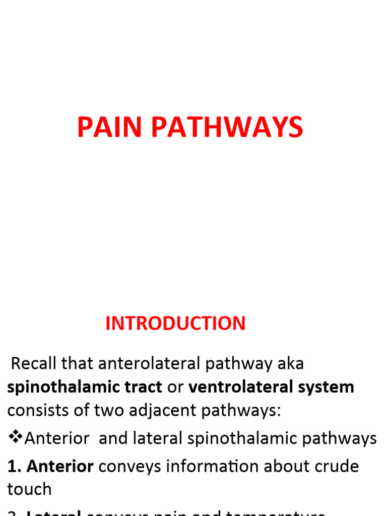 Pain Pathways | PDF | Nervous System | Neuroscience