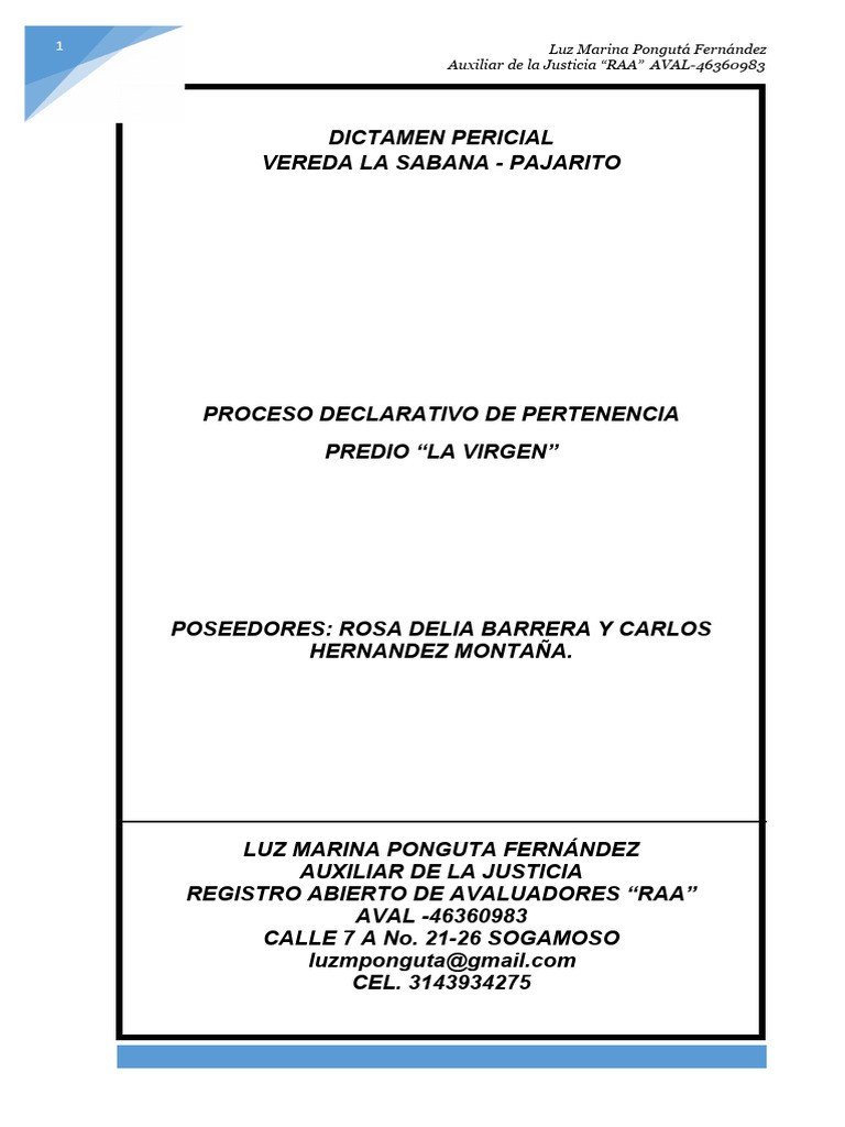 dictamen-pericial-pdf-testigo-experto