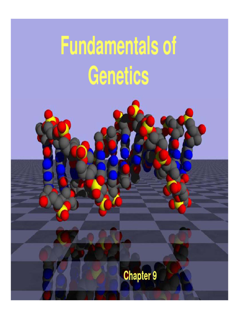 Genetics Basics for Students | PDF | Dominance (Genetics) | Genotype