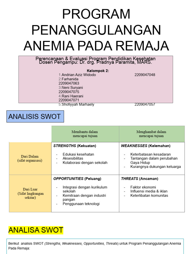 Pepp - Kel 2 Program Penanggulangan Anemia Pada Remaja | PDF