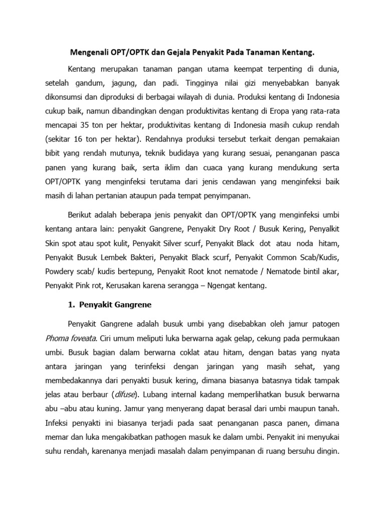 Gejala Penyakit dan OPT pada Kentang | PDF