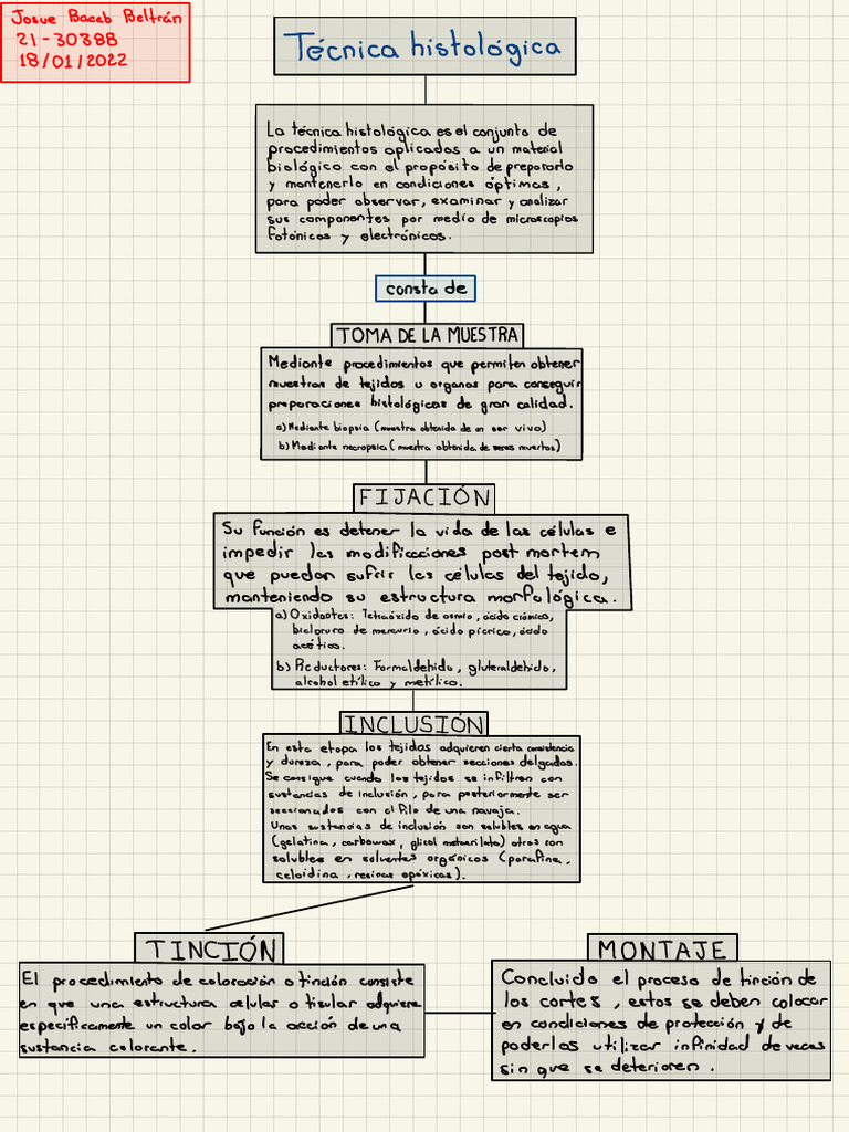 Diagrama de flujo de la Técnica Histológica - Josué Bacab | PDF ...
