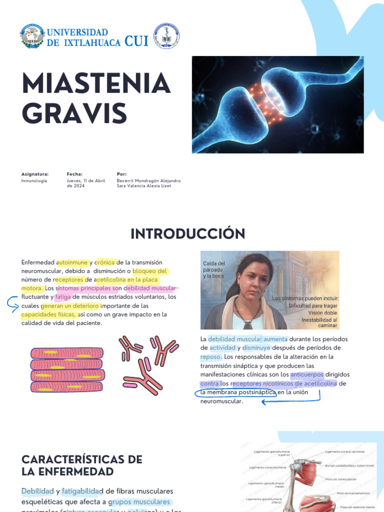 Miastenia Gravis: Síntomas y Tratamiento | PDF | Acetilcolina | Unión