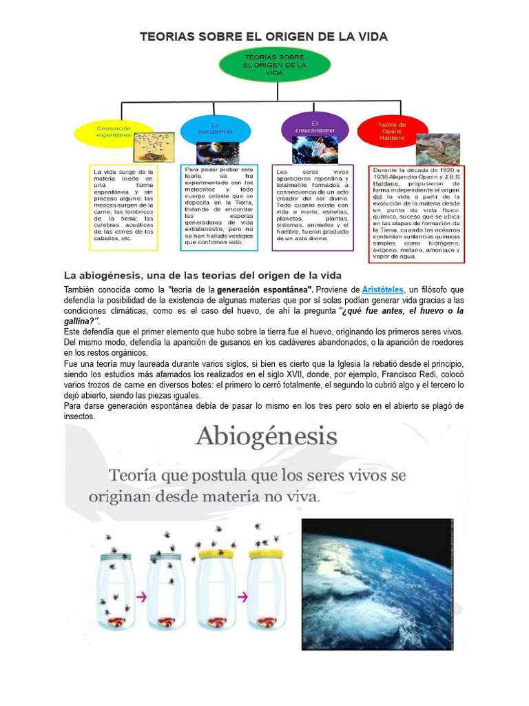 Teorías del Origen de la Vida | PDF | Abiogénesis | Vida
