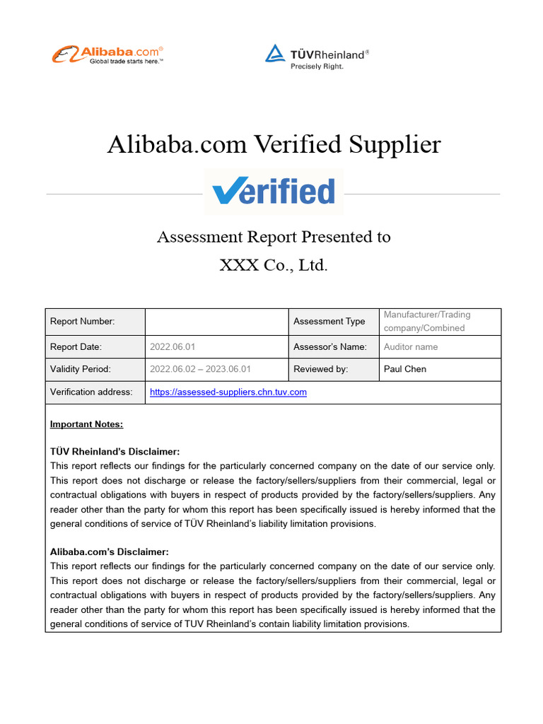 COMPANY ASSESSMENT REPORT visual data 4