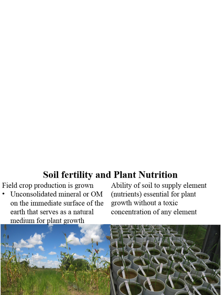 Soil Fertility and Plant Nutrition Guide | PDF | Soil | Plant Nutrition